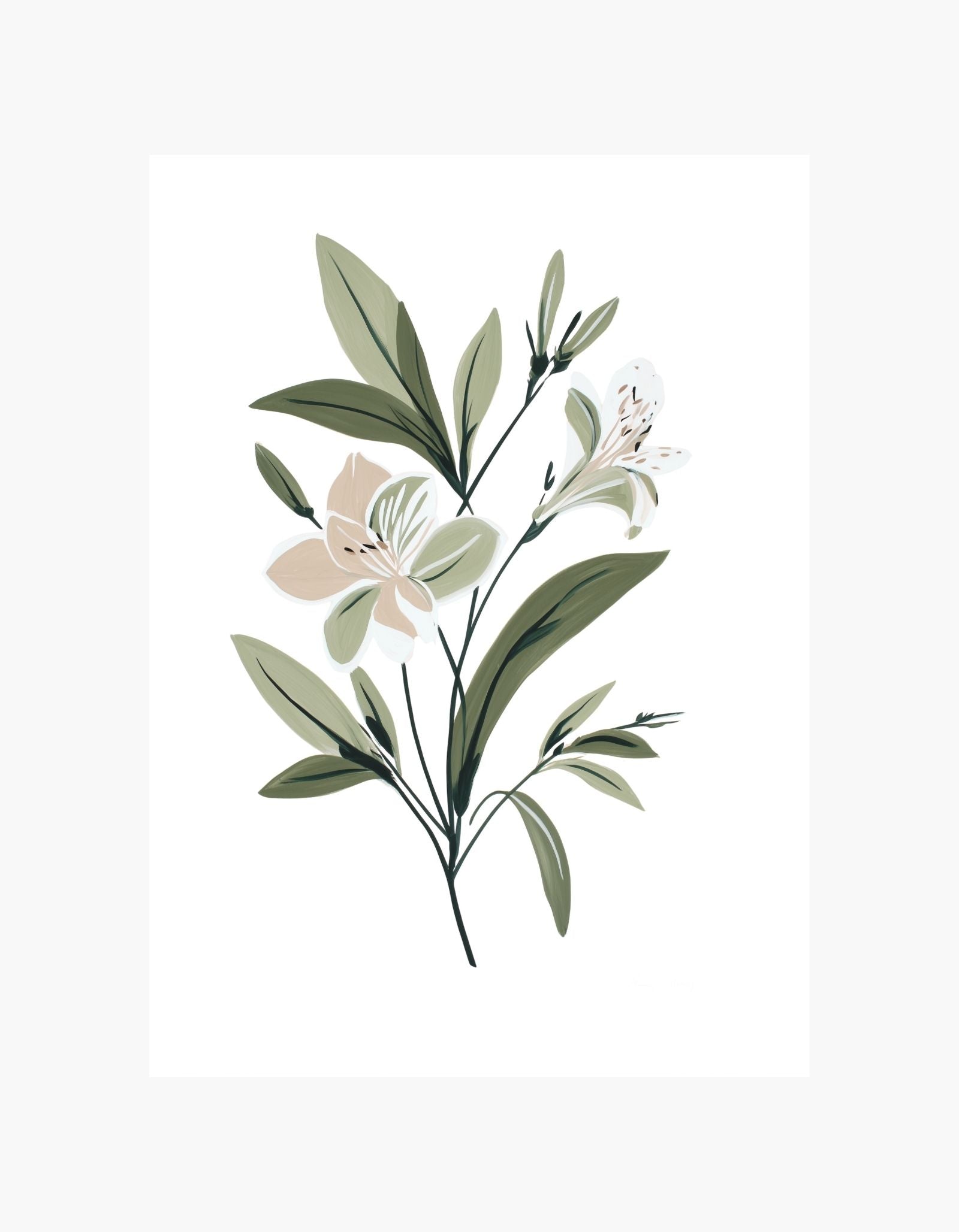 Botanisk plakat med vilde liljer