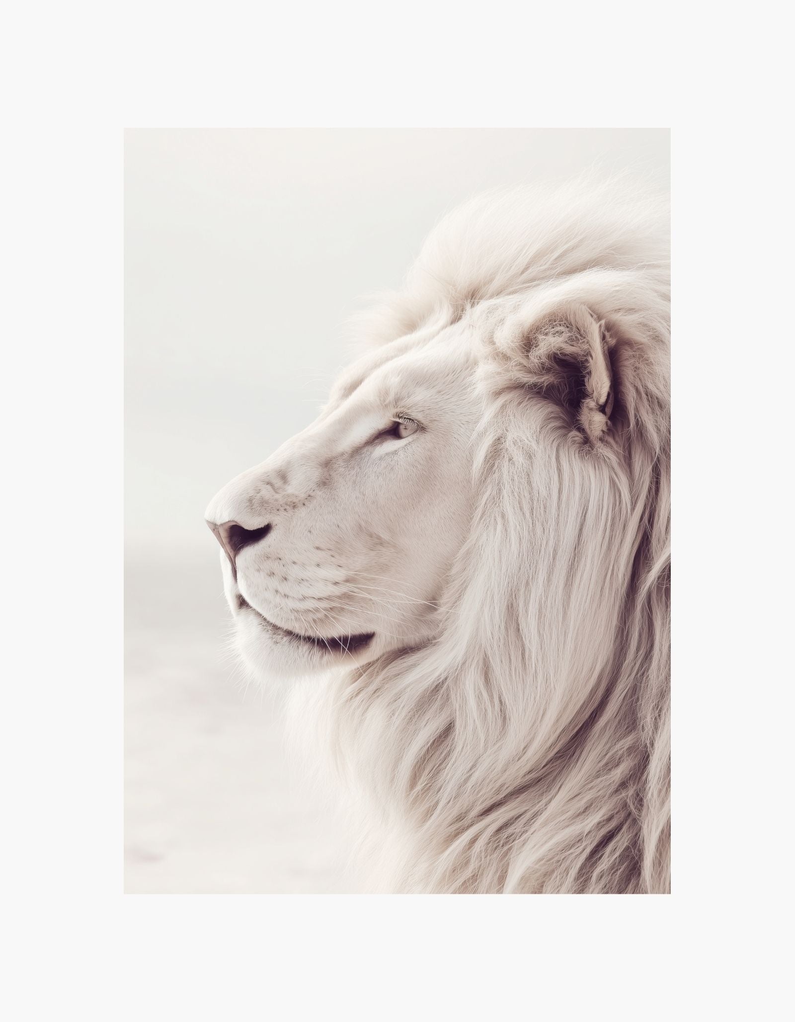 White Lion-plakat