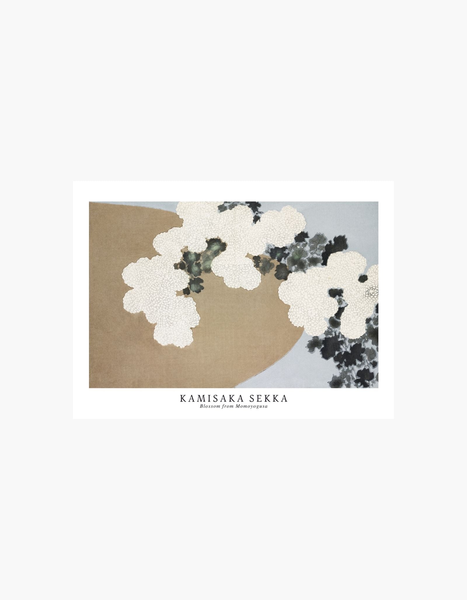 Kamisaka Sekka Blossom fra Momoyogusa Plakat