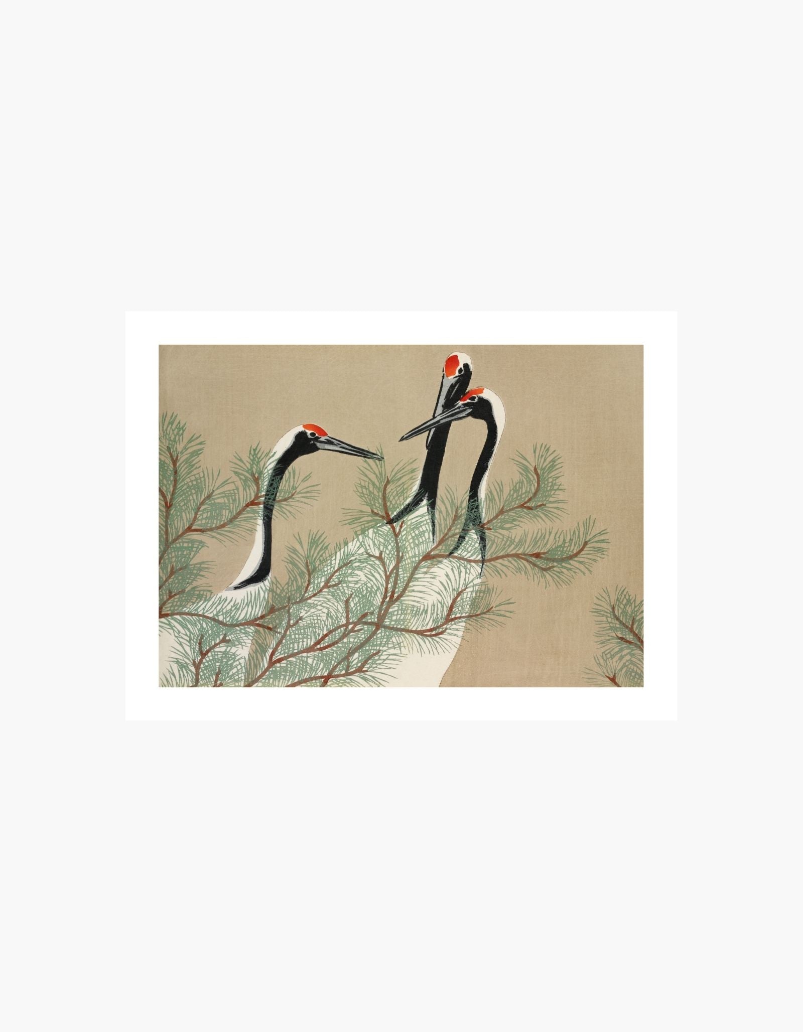 Kamisaka Sekka Cranes from Momoyogusa Poster