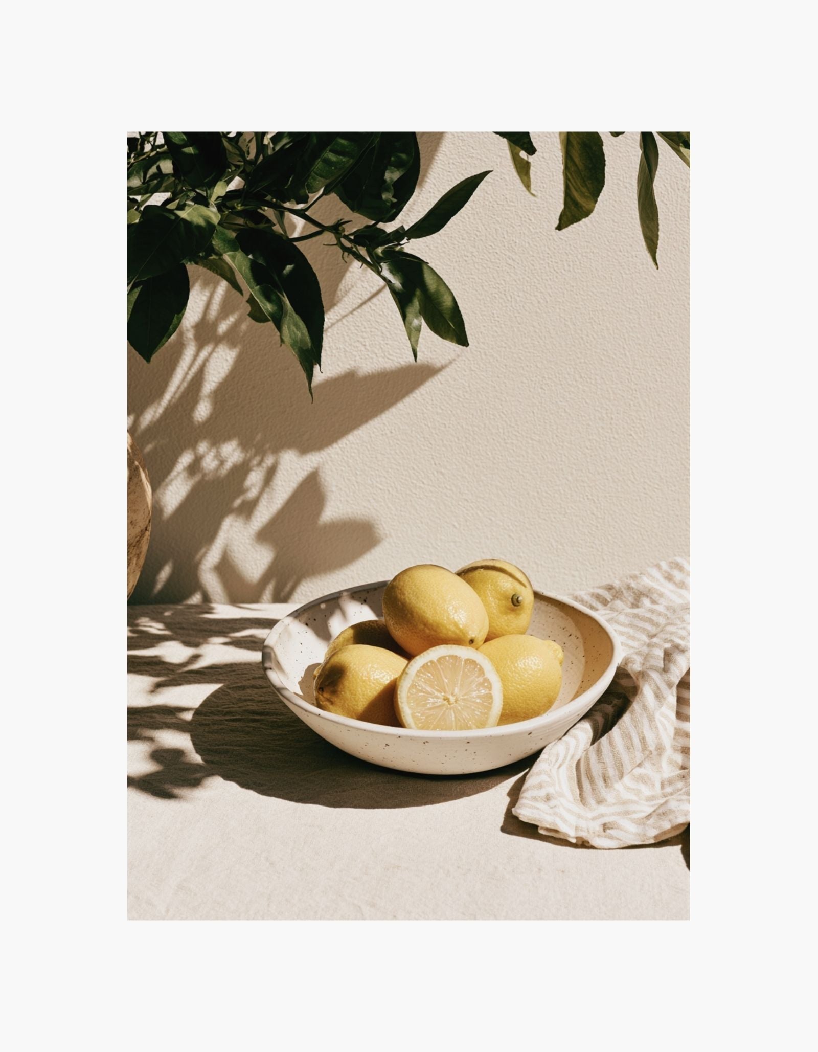 Lemon Still Life Poster