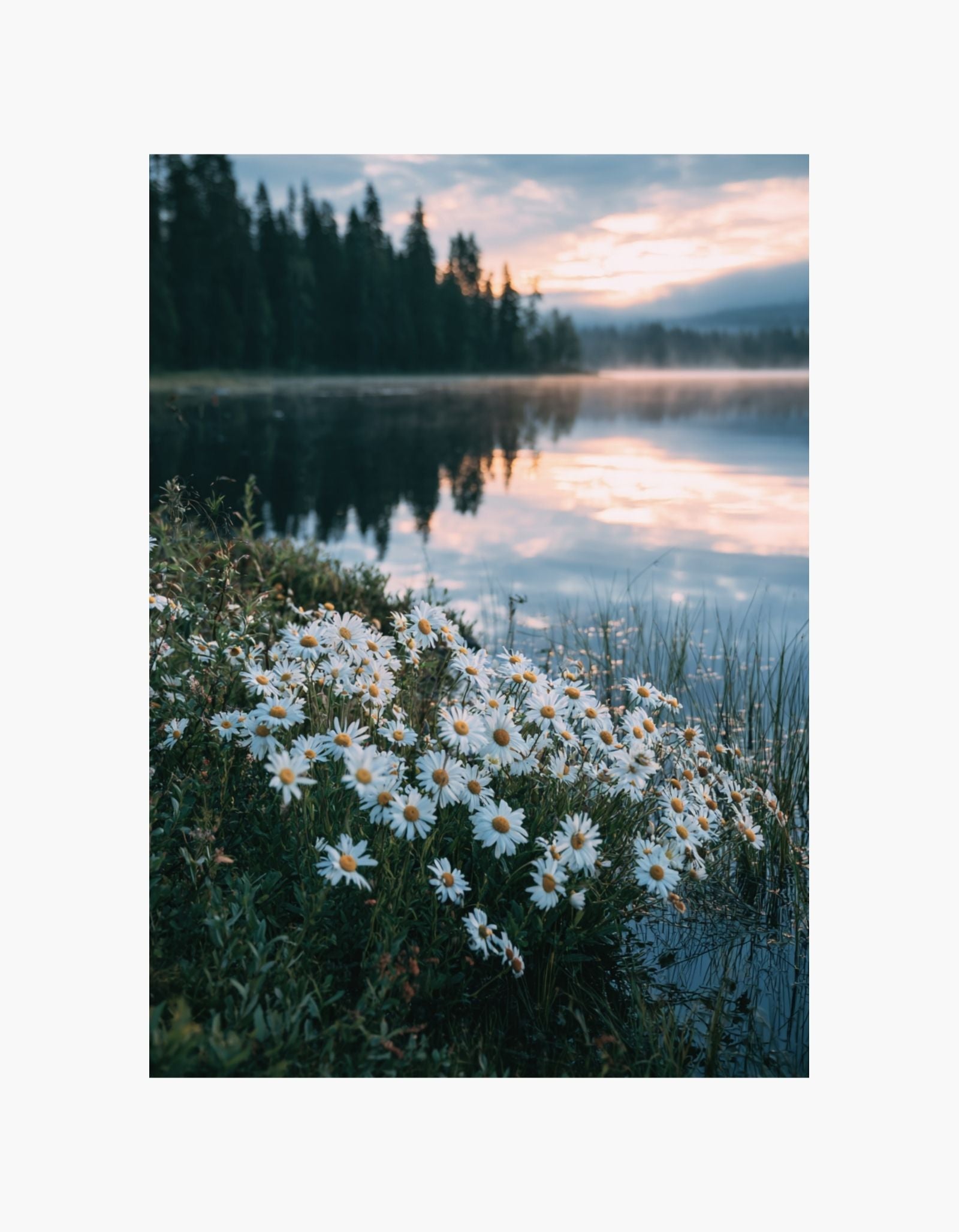 Morning Lake Boat Poster