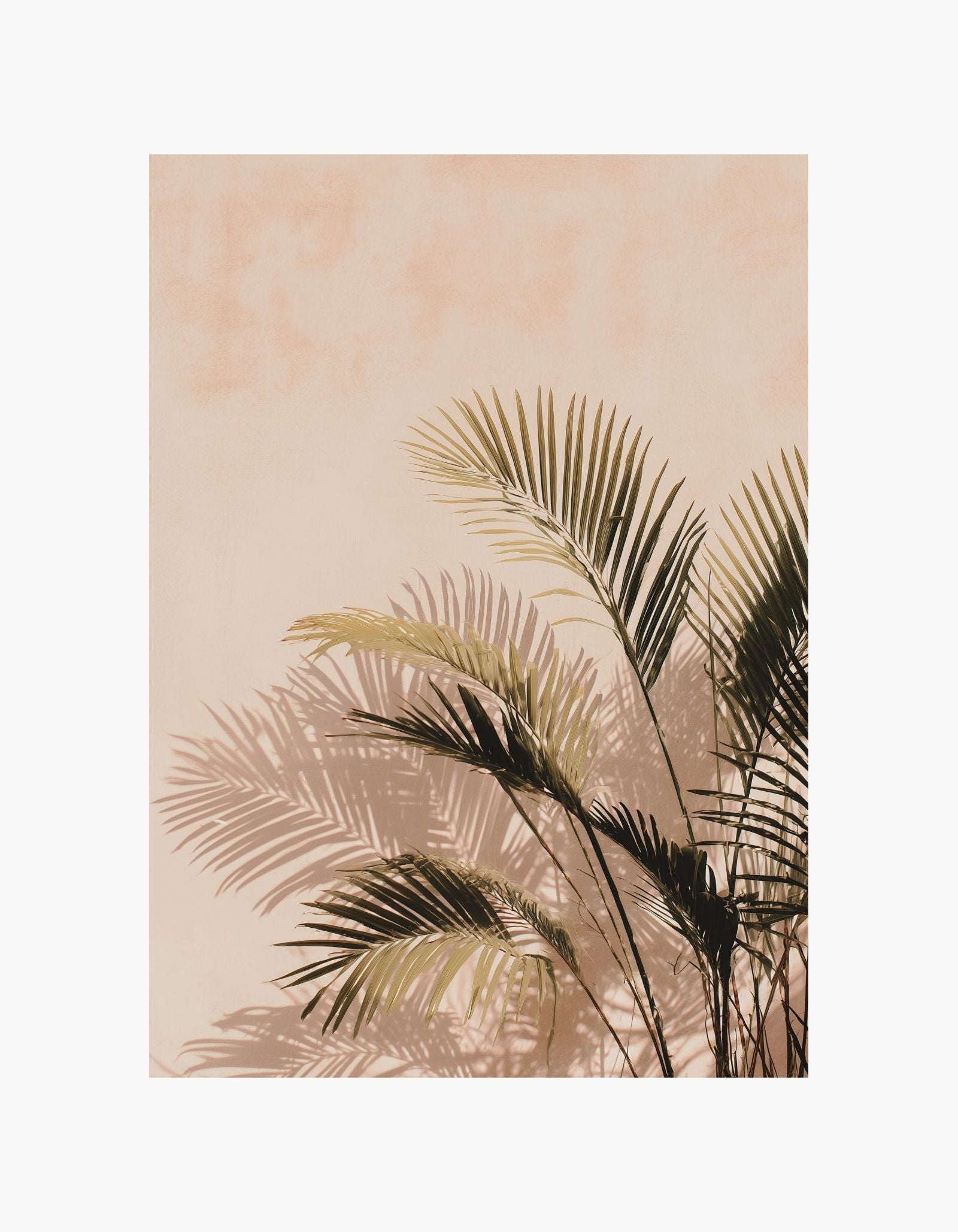 Palm Shadow Poster