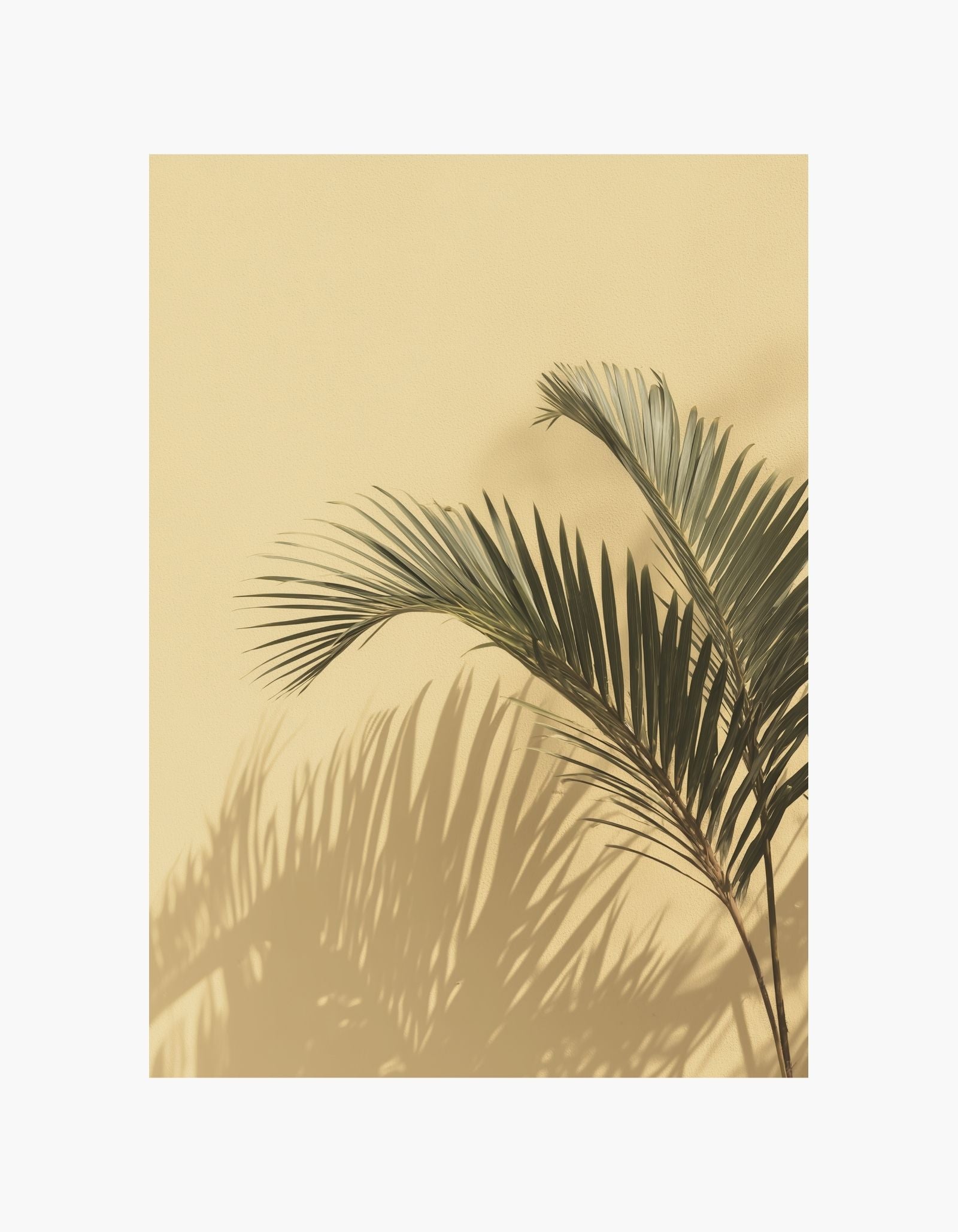 Palm Shadow Poster