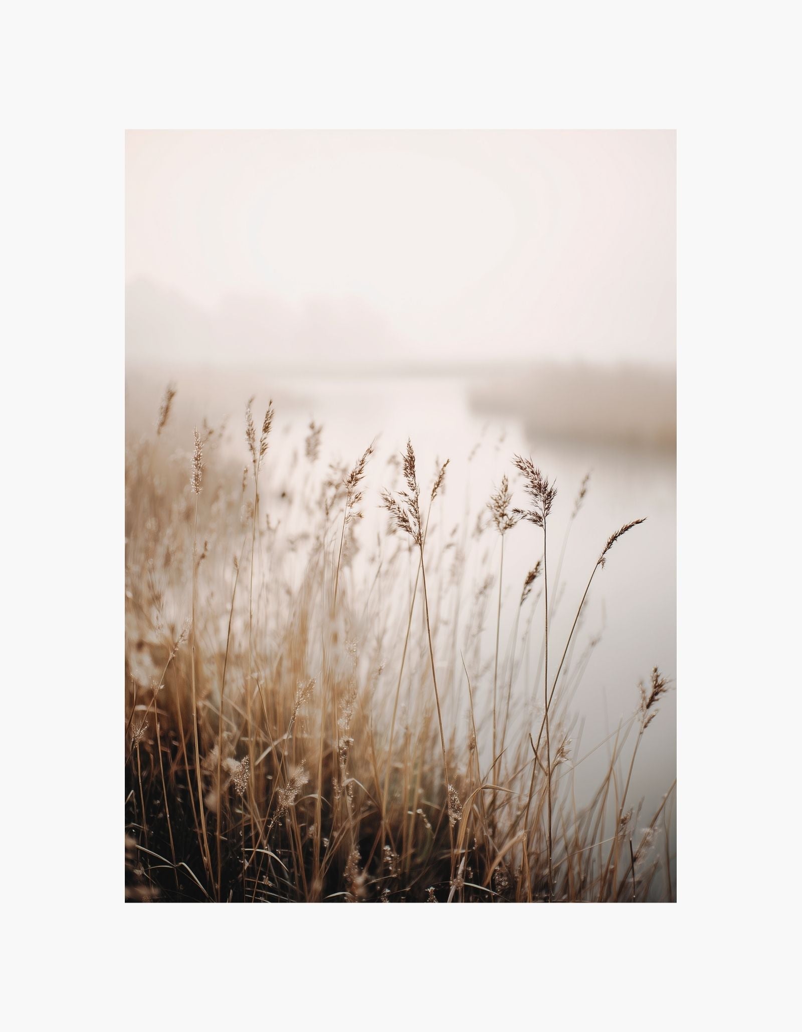 Soft Meadow Poster