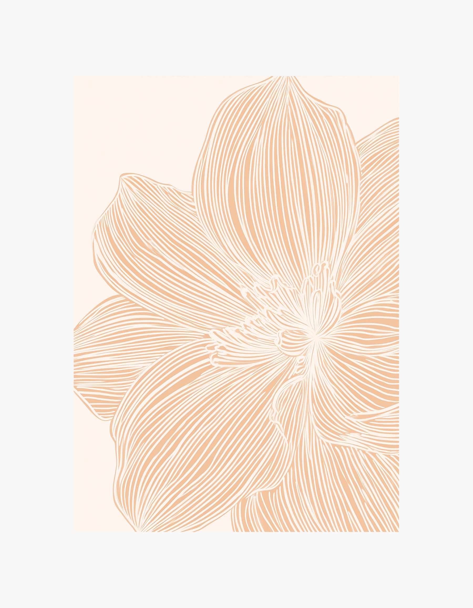 Soft Apricot Flower Poster