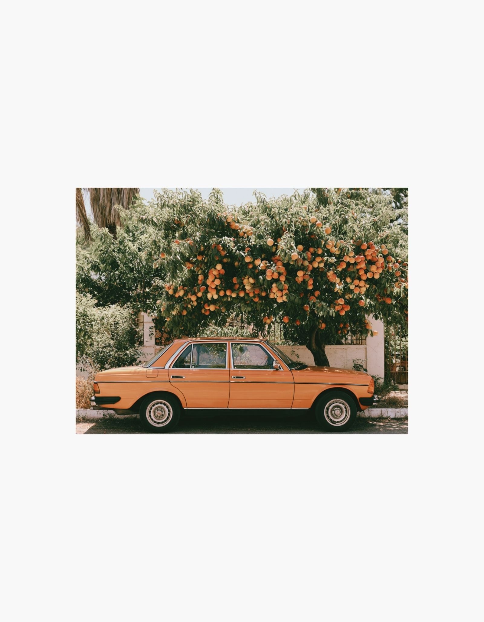Peach Grove Drive Poster
