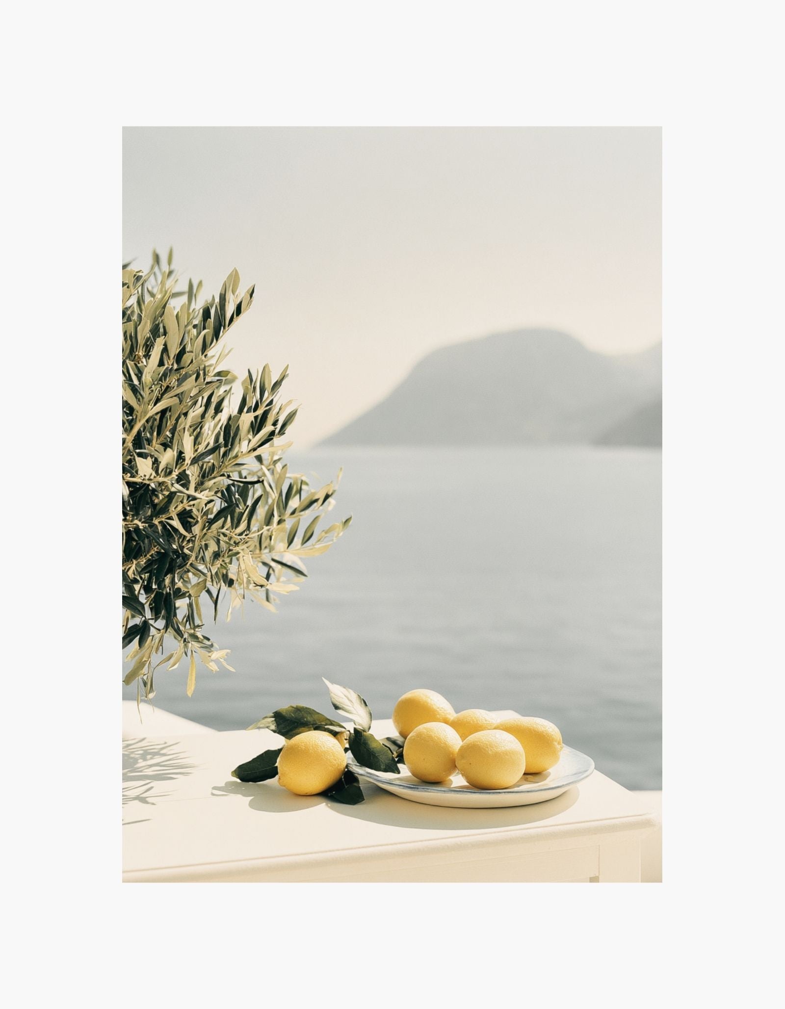 Lemon Terrace Poster