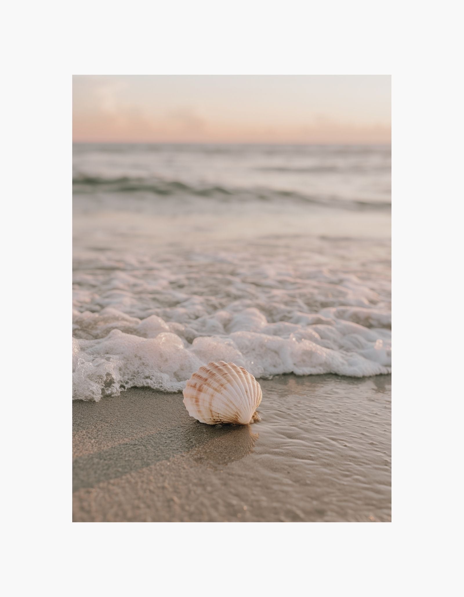 Seashell by the Shore Poster
