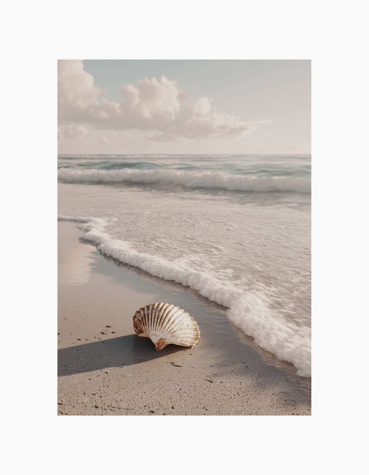 Seashell Serenity Poster