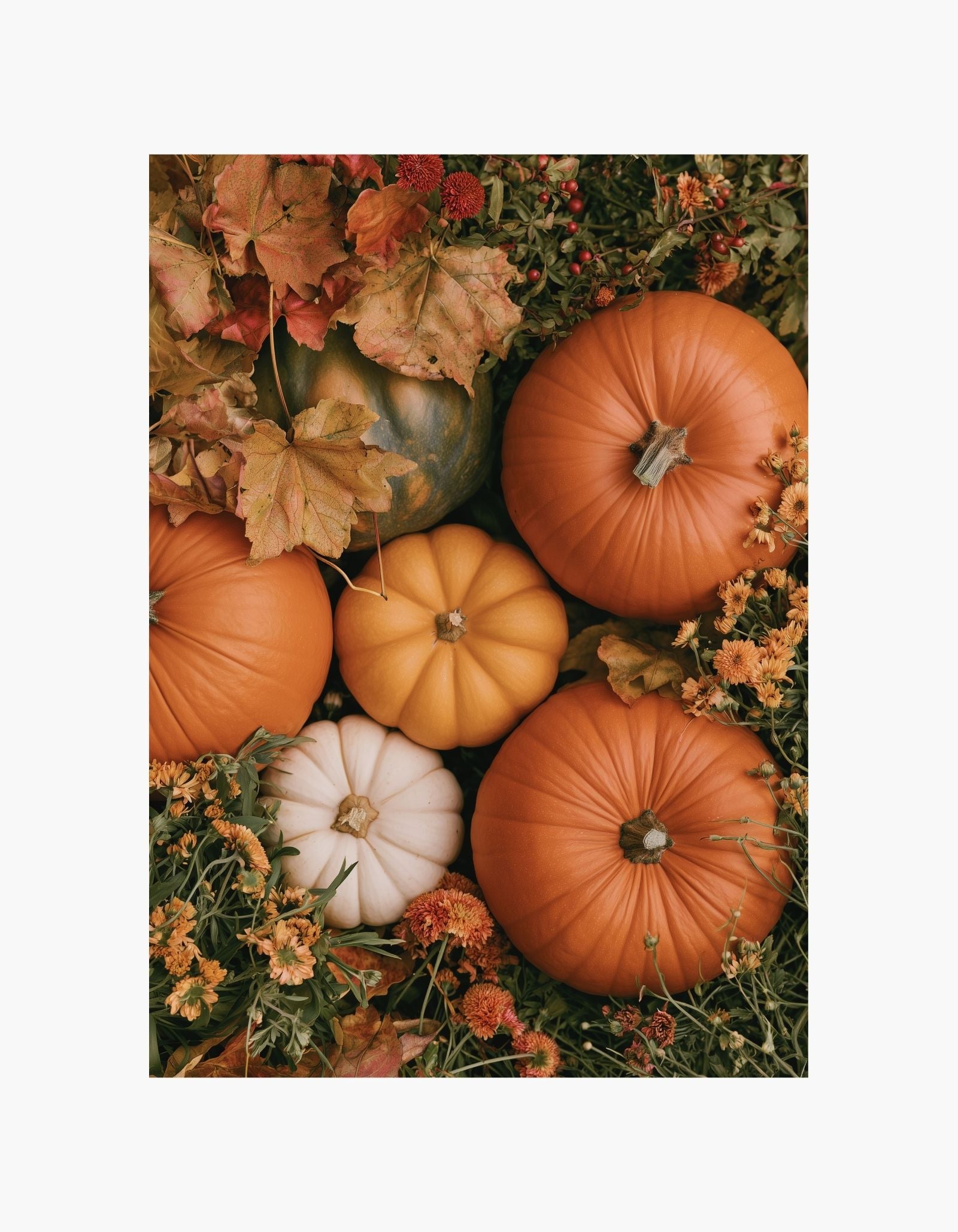 Autumn Harvest Poster