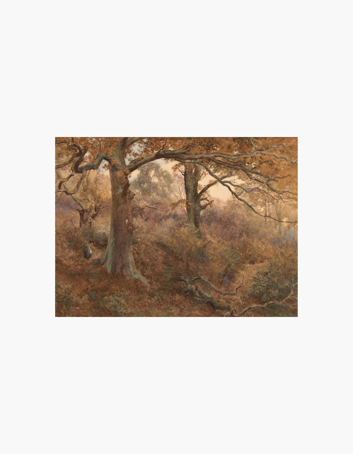 Forest Landscape Poster John William North