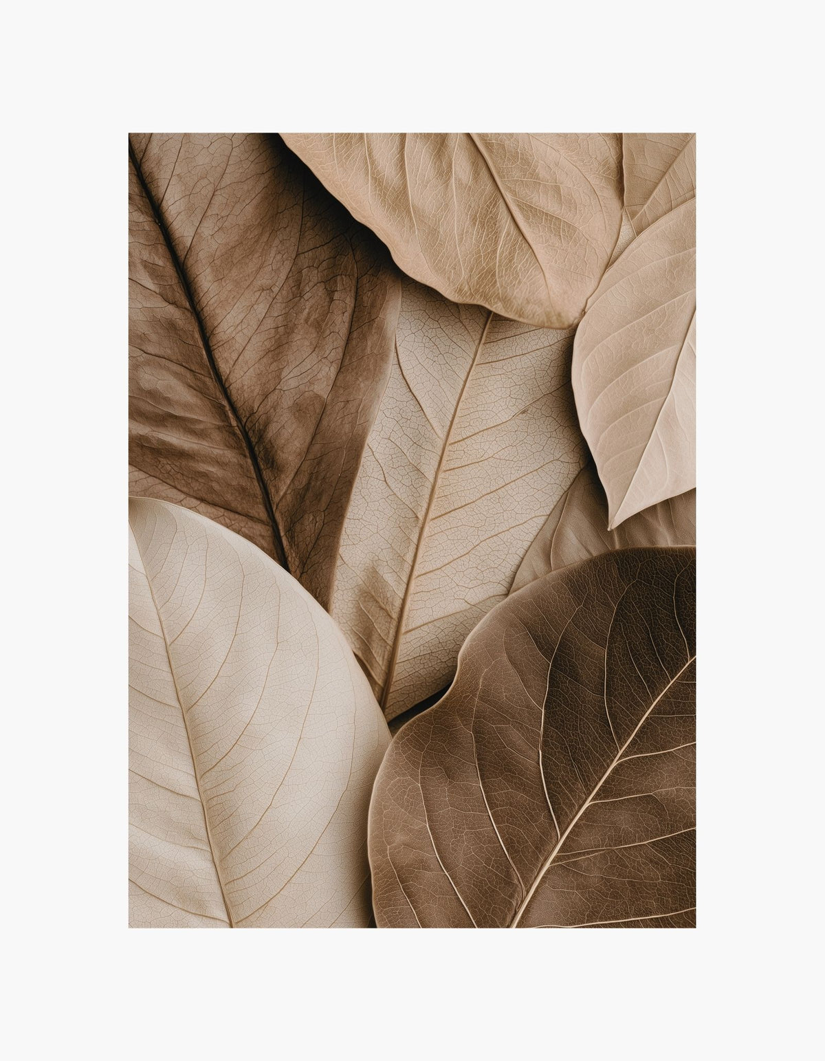 Neutral Leaves Poster