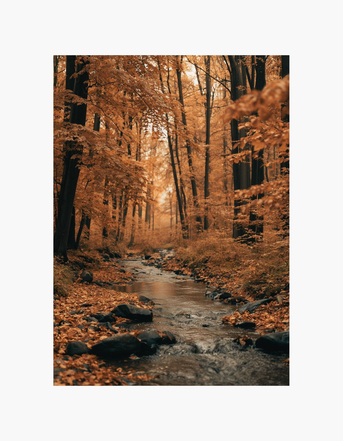 Autumn Creek Poster