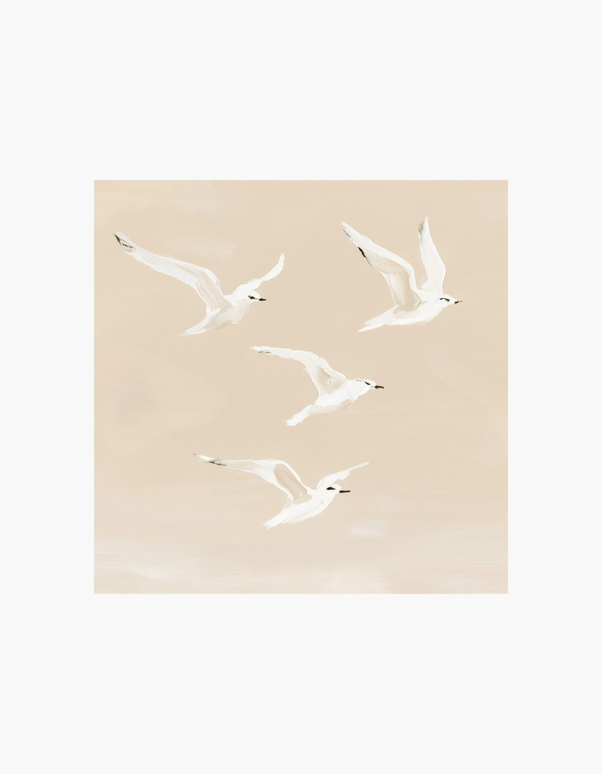 Soft Flight Poster