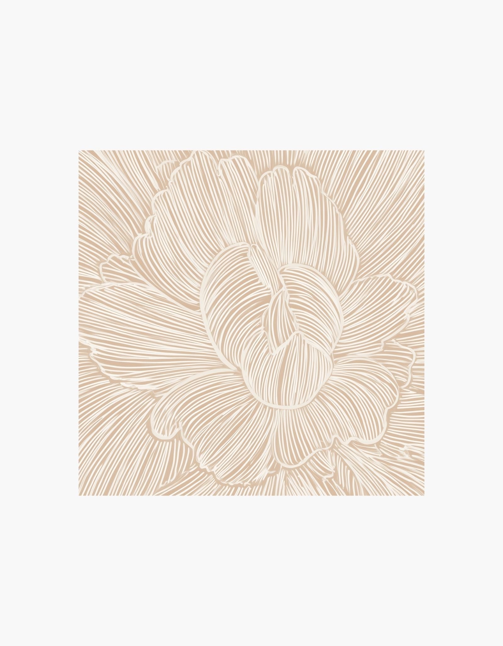 Soft Peony Lines Poster
