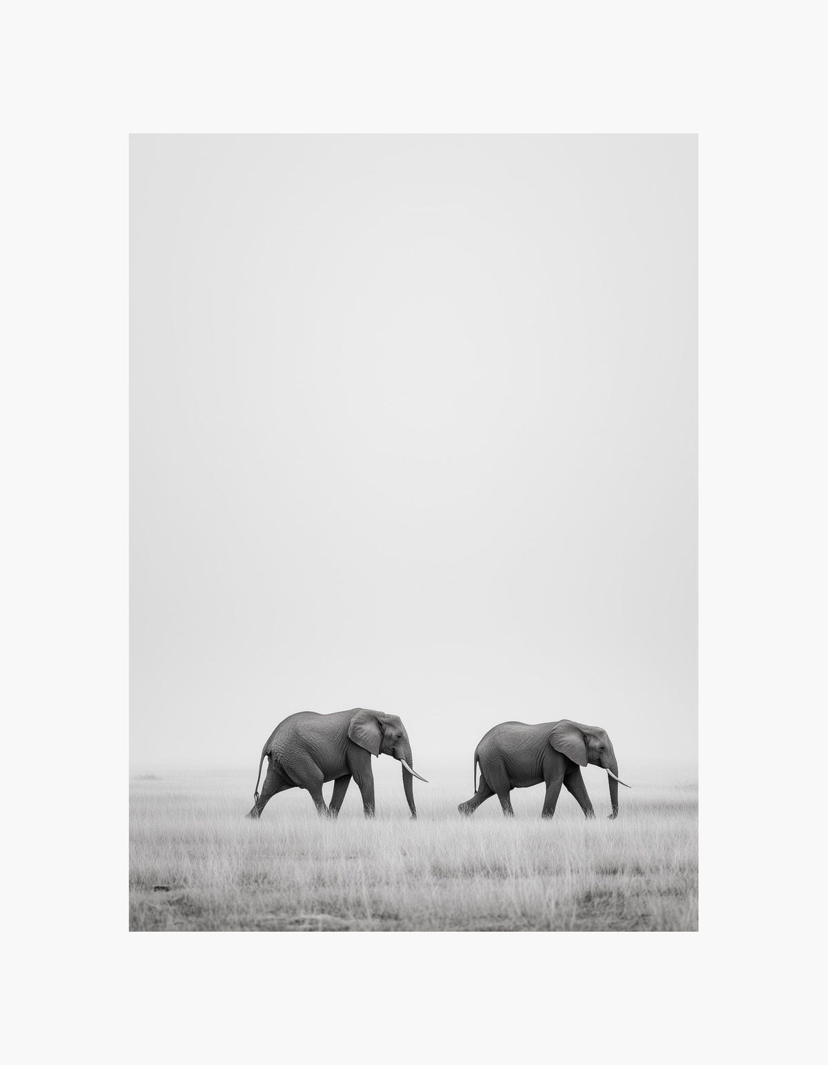 Elephant Walk Poster