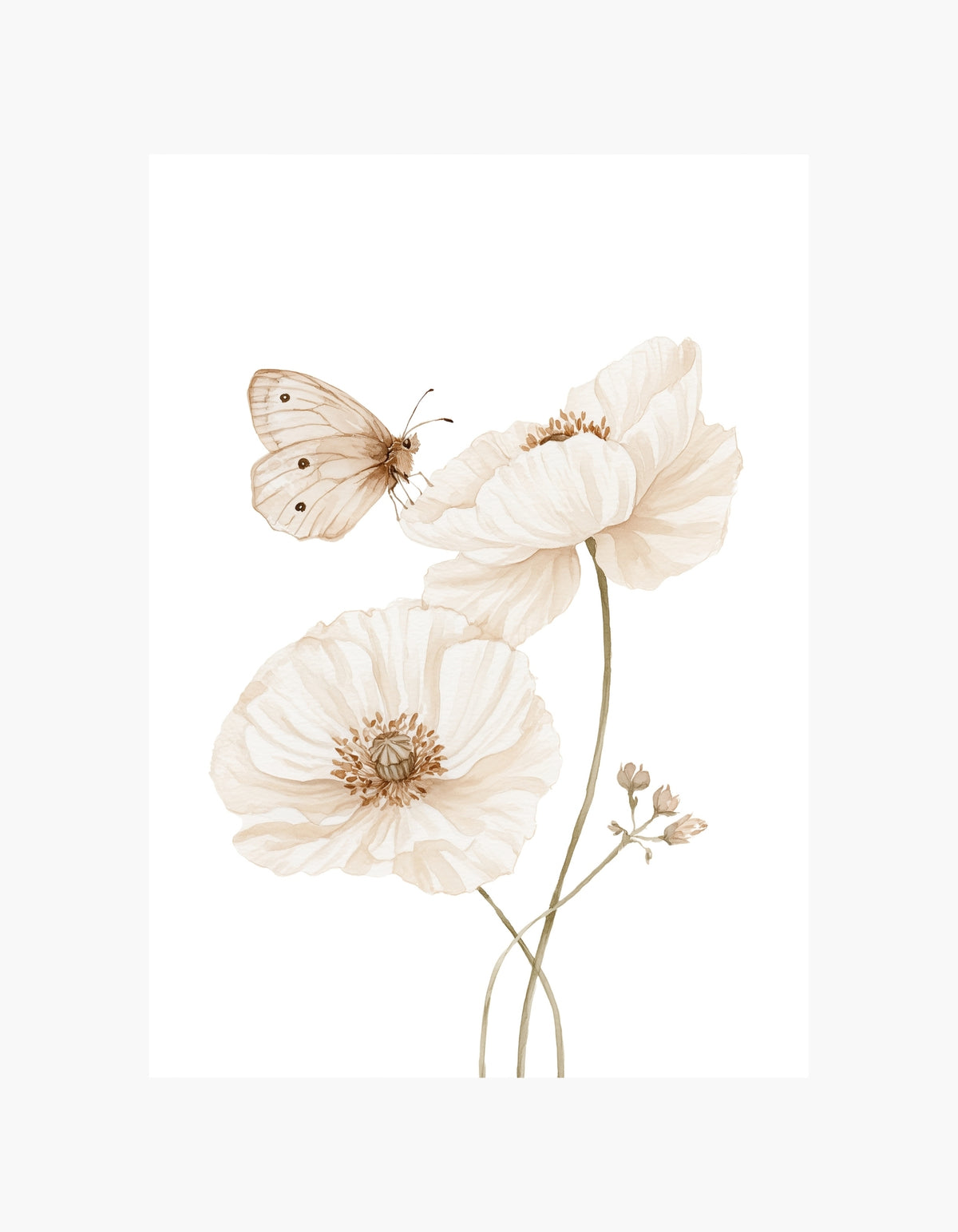 Butterfly Bloom Poster
