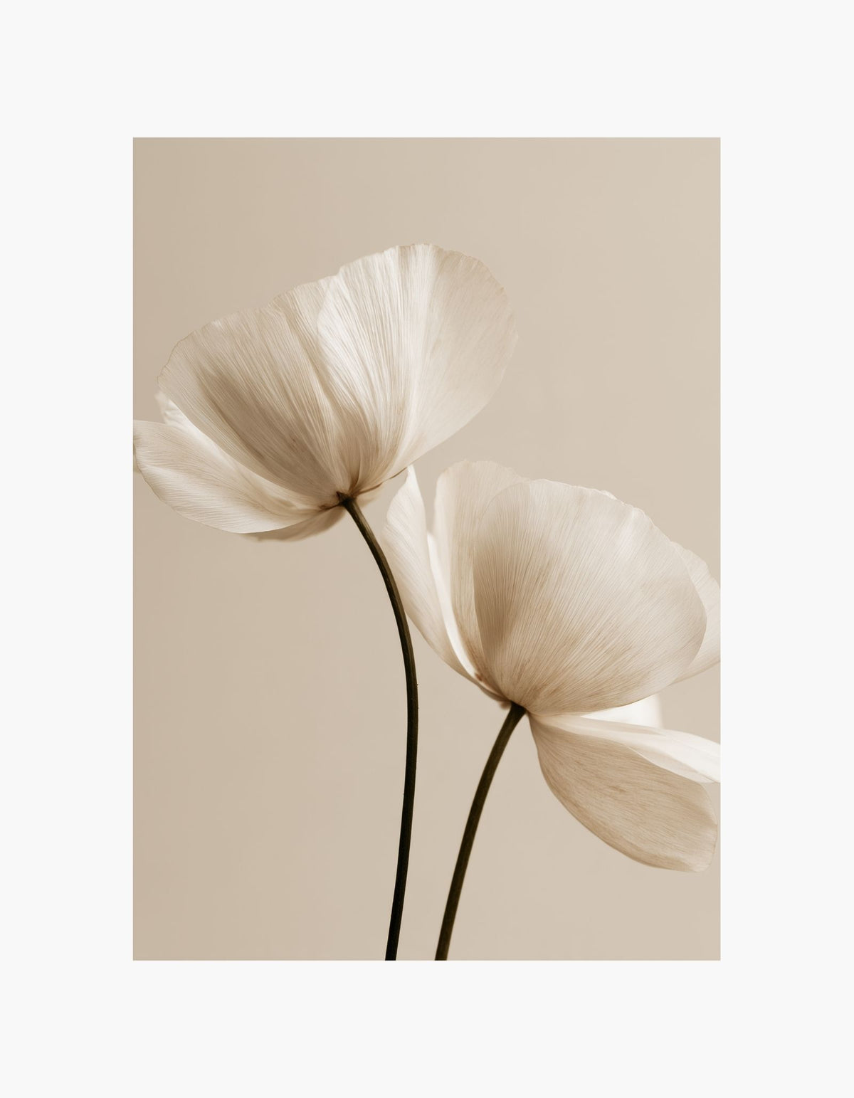 Beige Bloom Poster