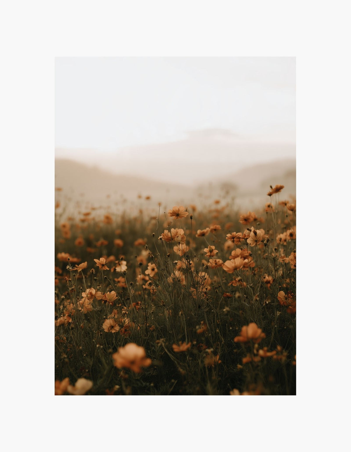 Rustic Meadow Poster