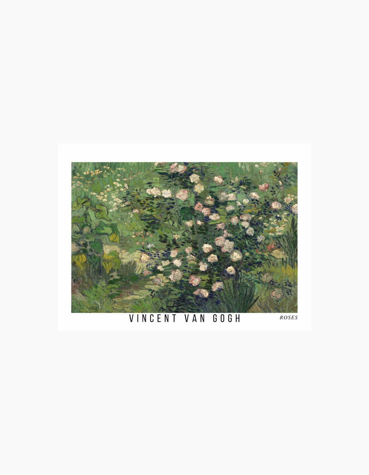 Van Gogh Roses Poster