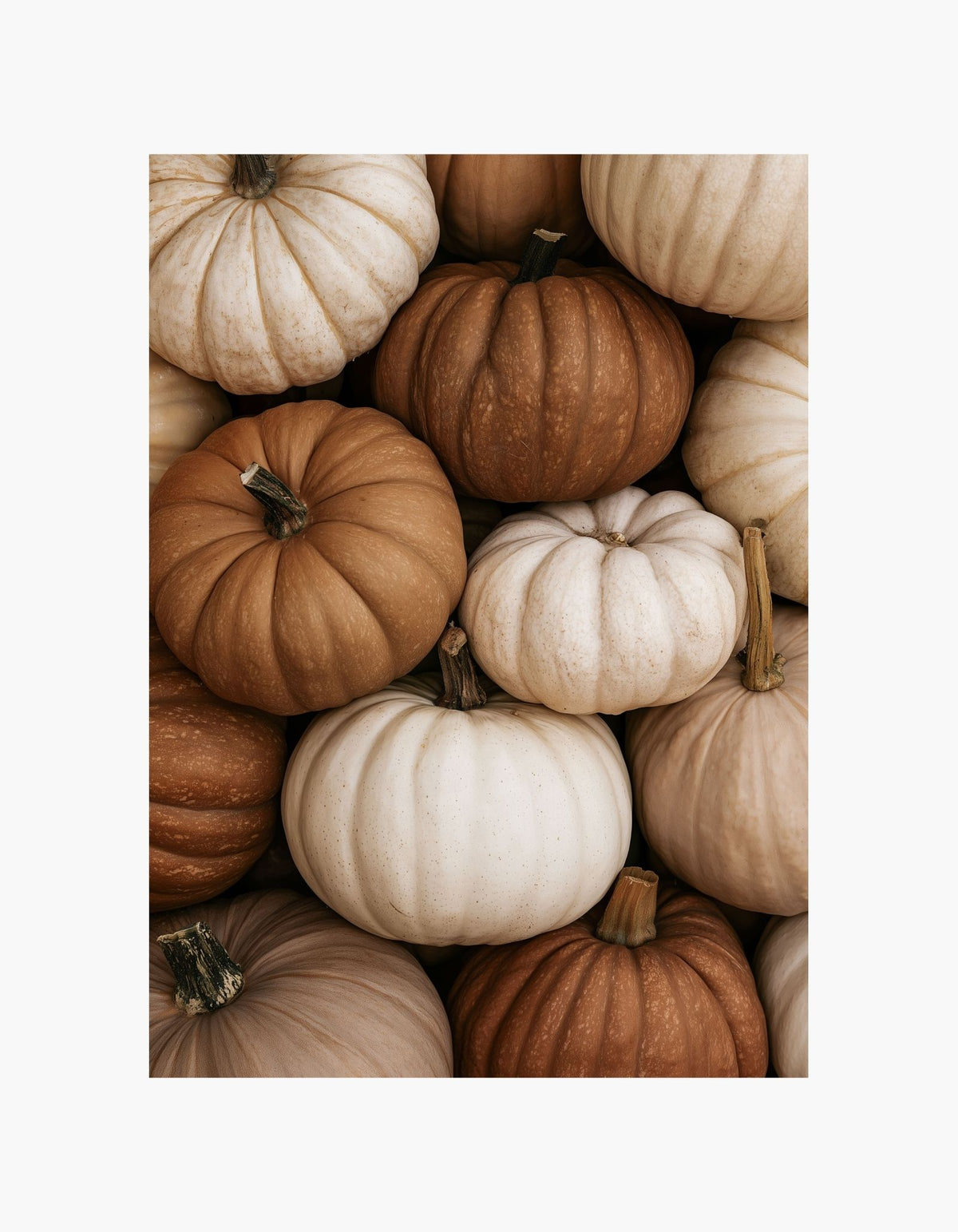 Pumpkin Shades Poster