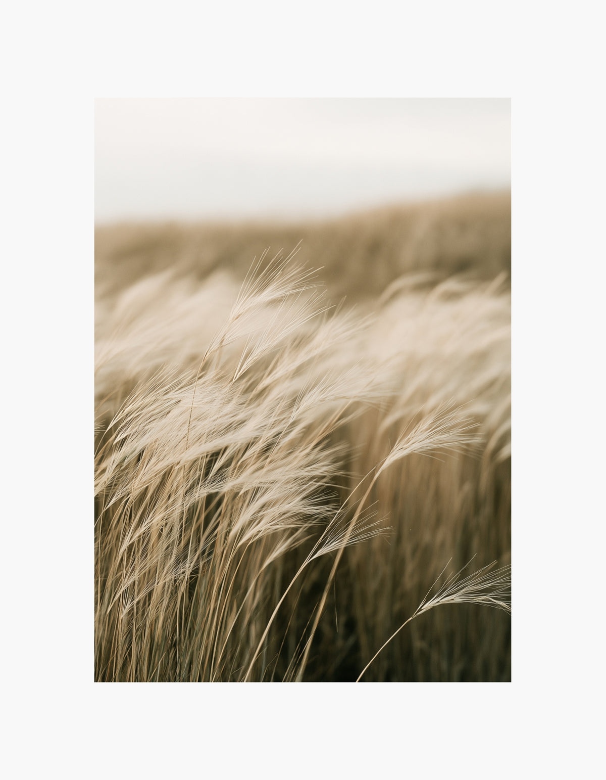 Green Fields Poster