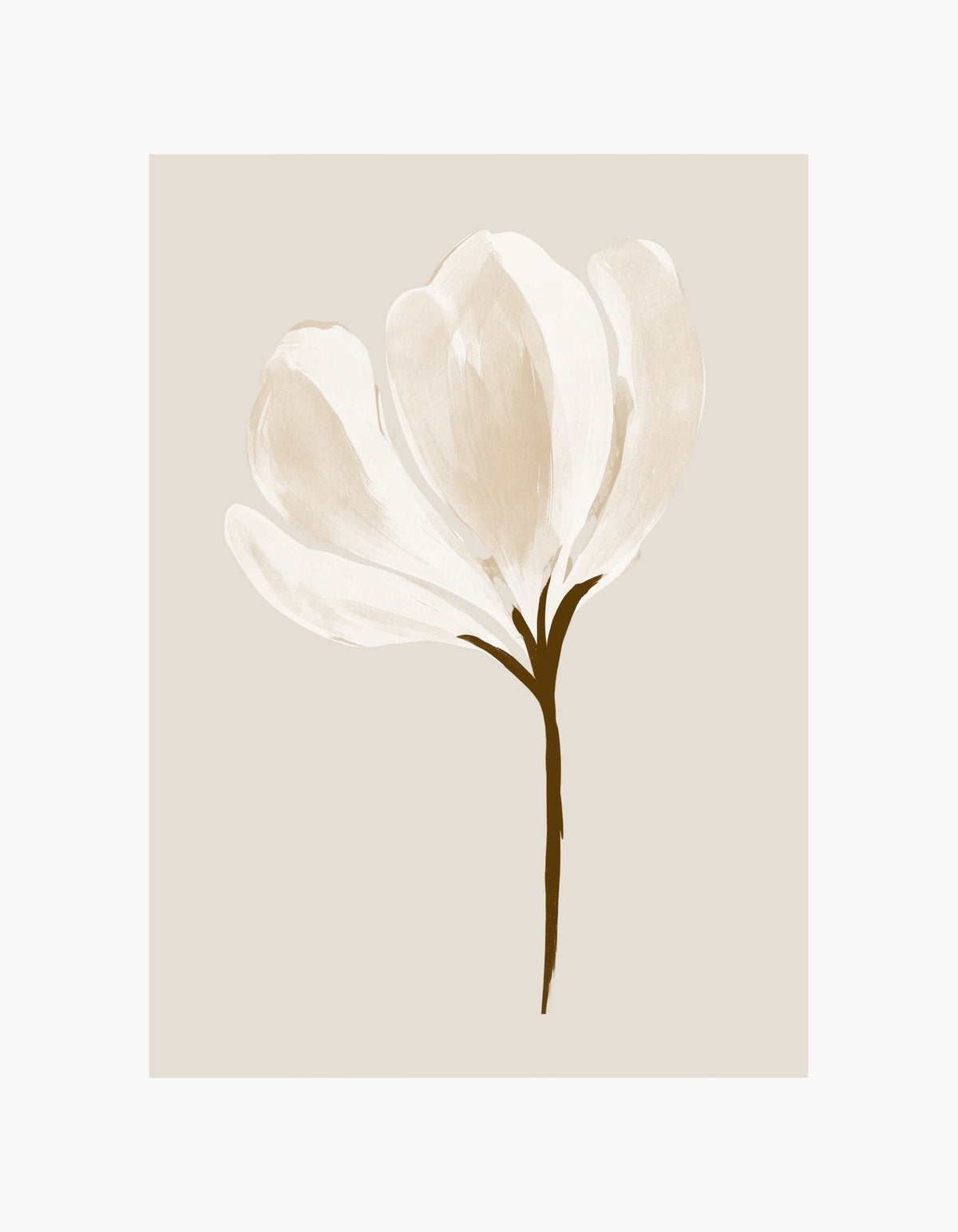 Ivory Tulip Poster