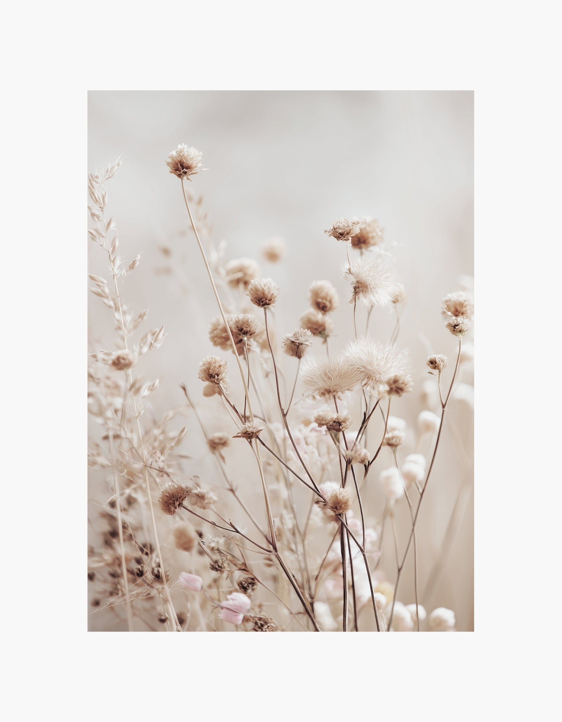 Beige plakat med vilde blomster