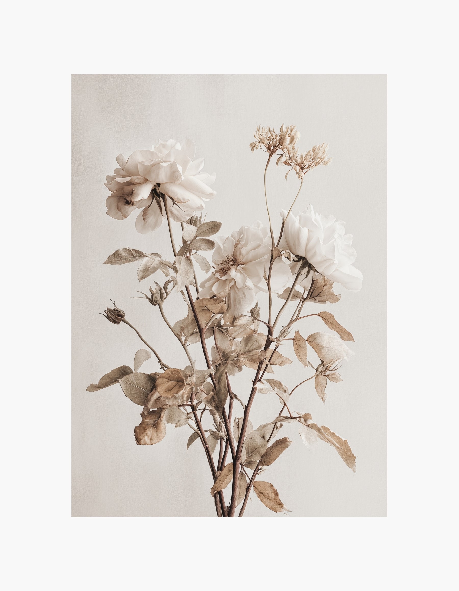 Ivory Rose No.2 Plakat