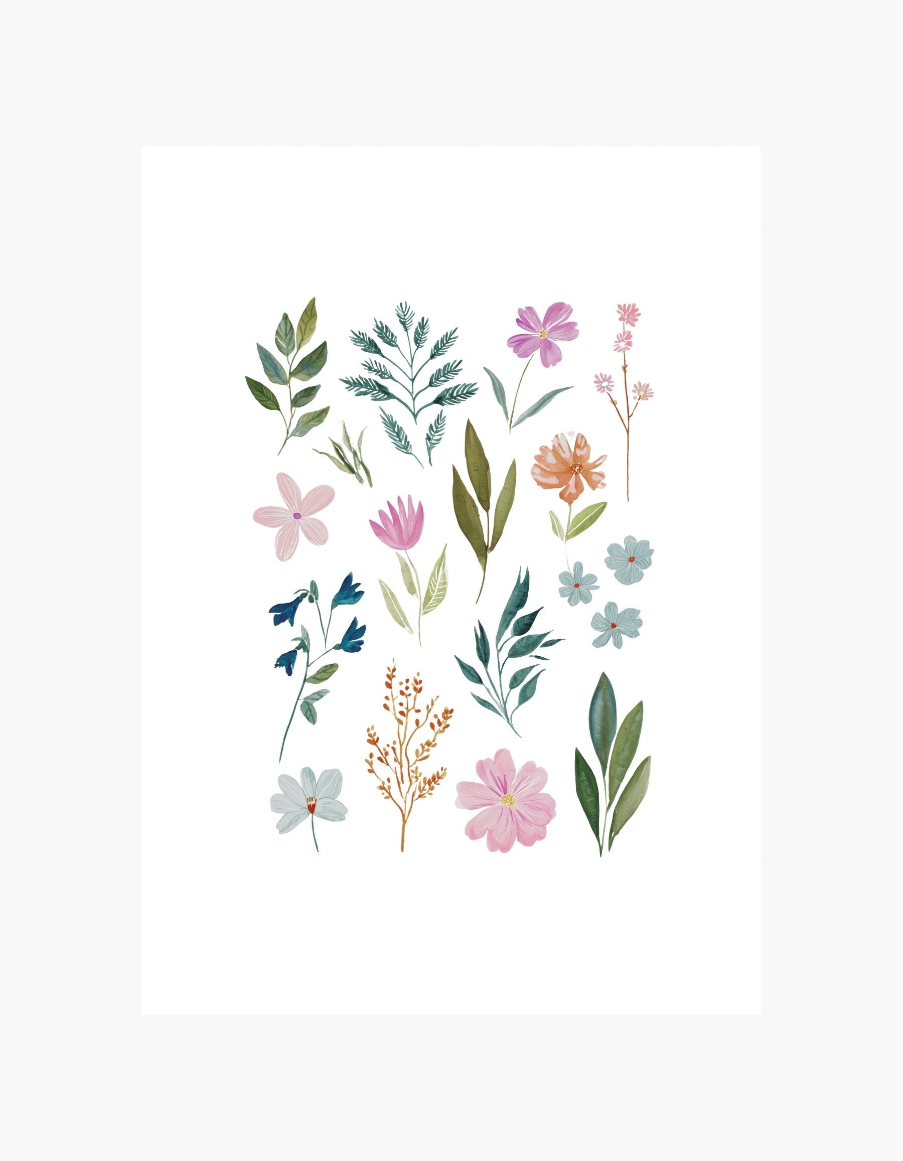 Plakat med botanisk samling