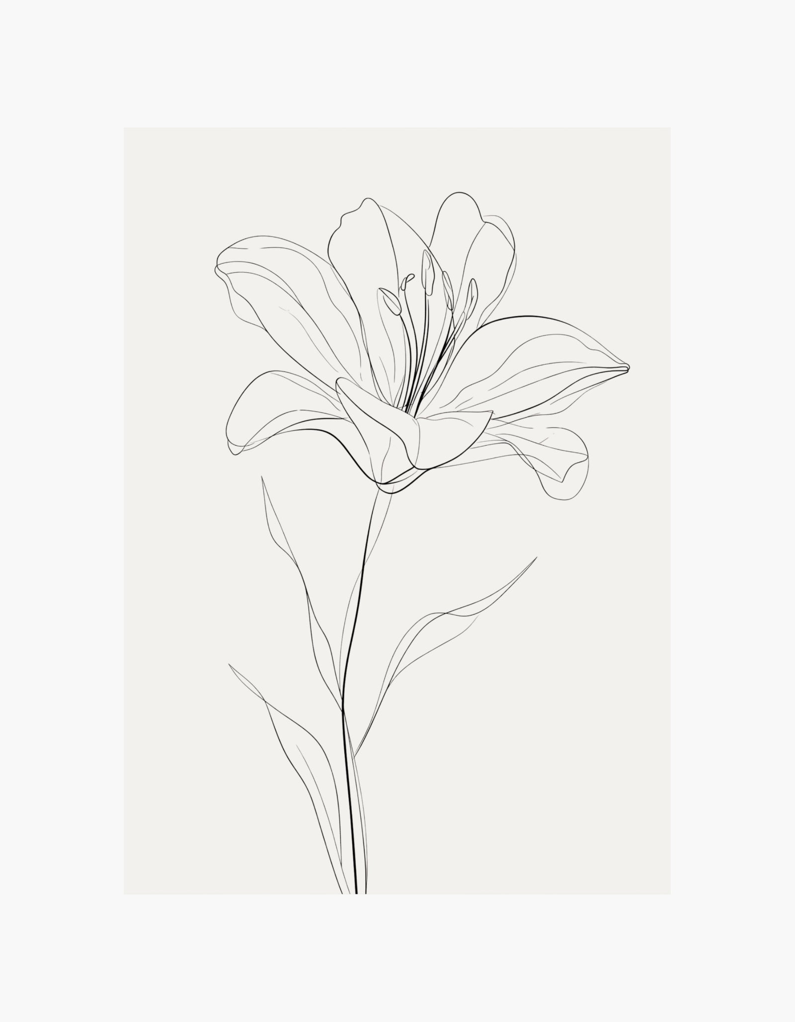 Lily Line Art No.2 Plakat