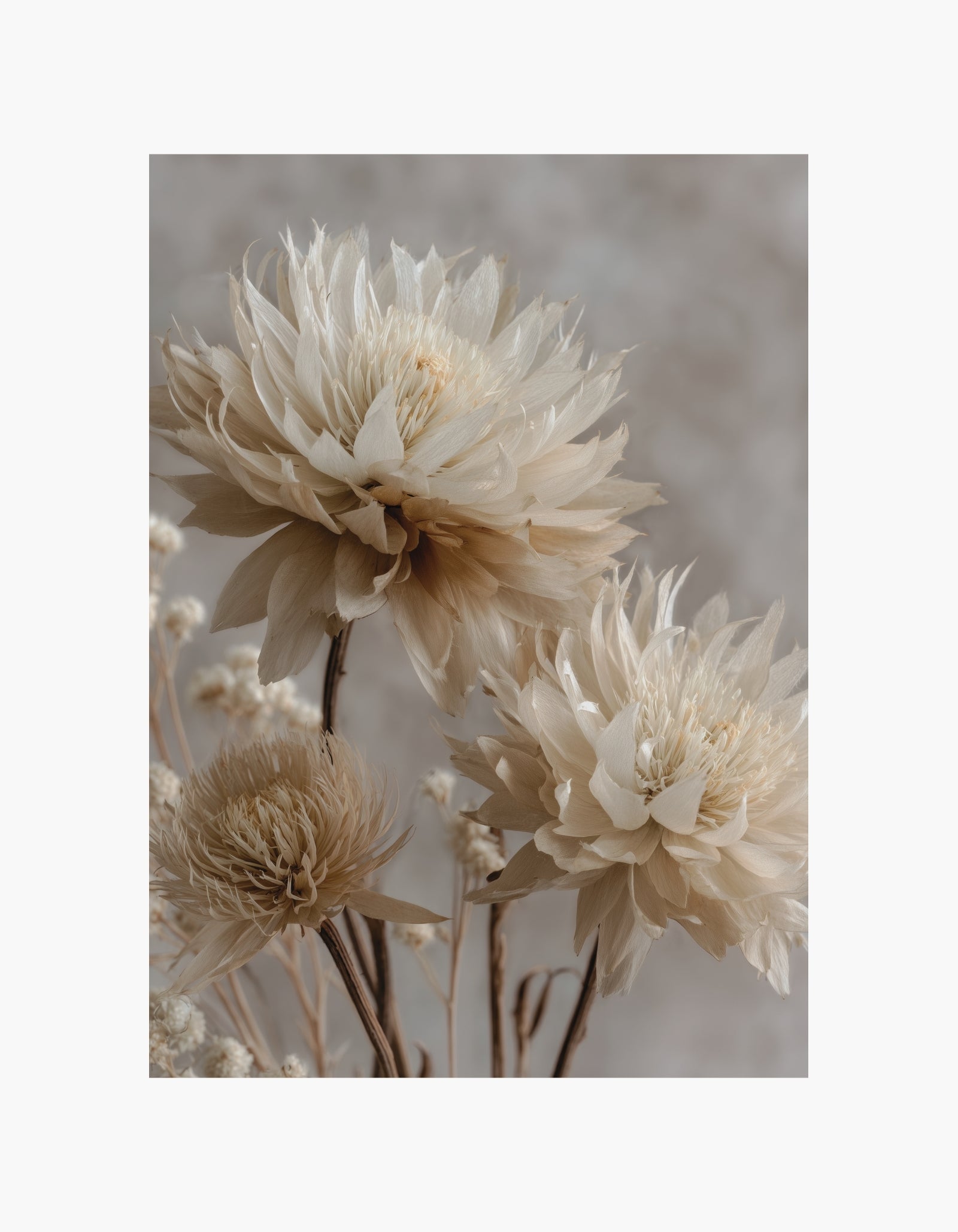 Beige Blooms Plakat