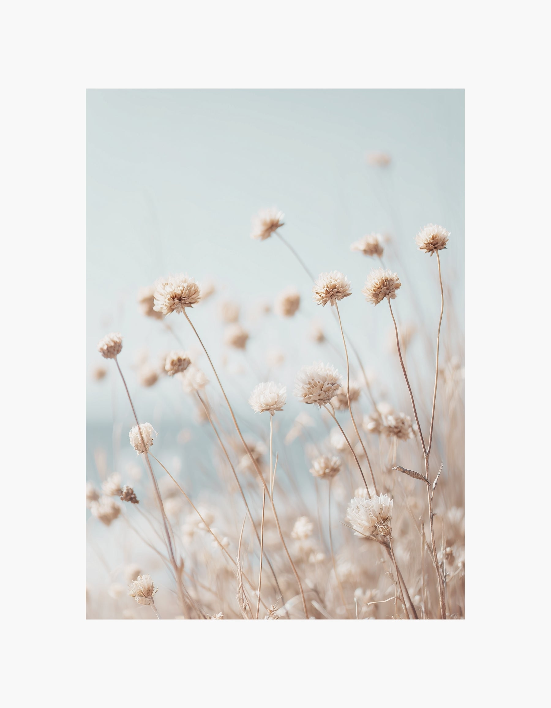 Beige markplakat med vilde blomster